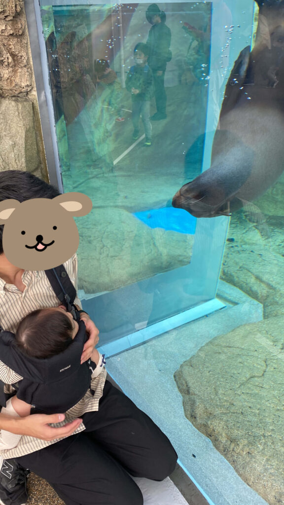 京都水族館のアシカと赤ちゃん